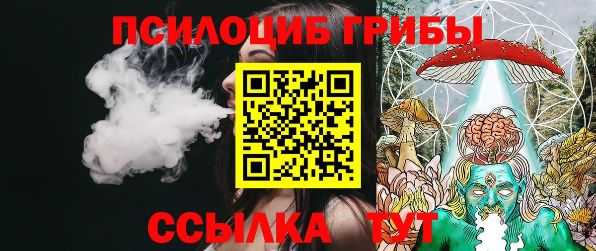 Псилоцибиновые грибы Psilocybe  Вход с VPN  Кировск  Псилоцибиновые грибы Cubensis 