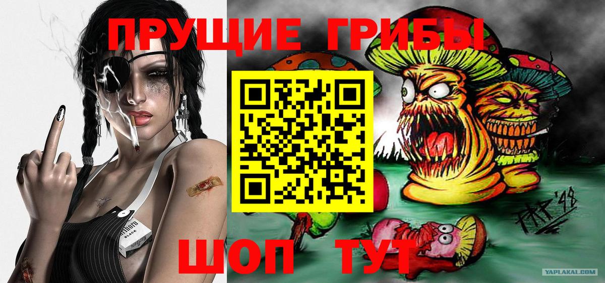 Галлюциногенные грибы прущие грибы Кировск